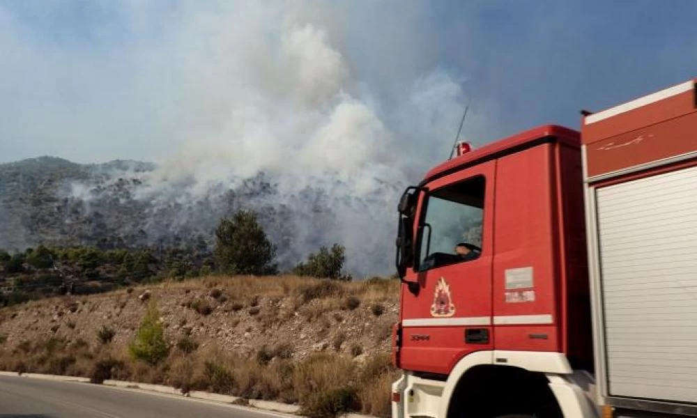 Συναγερμός στην Πυροσβεστική: Φωτιά σε περιοχή της Αρχαίας Ολυμπίας